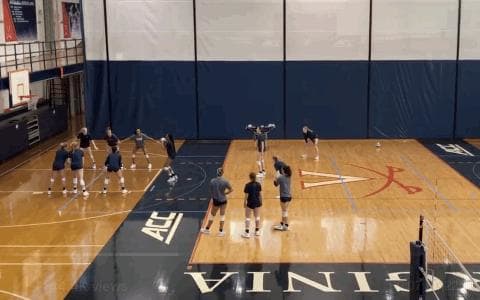 uva-vball-play.gif